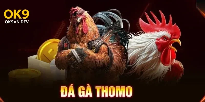 Hướng Dẫn Chơi Và Kinh Nghiệm đá gà thomo